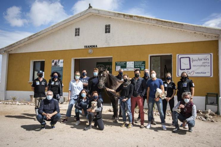Dinámica de equipo al aire libre con caballos